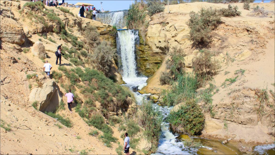 مصر.. طيور مهاجرة تحلق قرب الشلالات بـ"وادي الريان"