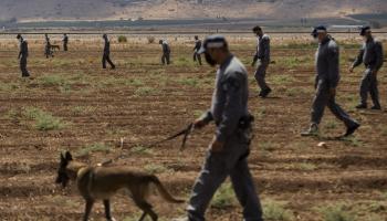 قوات الاحتلال أثناء البحث عن أبطال نفق الحرية (أمير ليفي/Getty)