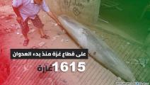 خسائر العدوان الإسرائيلي على قطاع غزة حتى اليوم التاسع