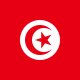 Flag_of_Tunisia.svg_.png